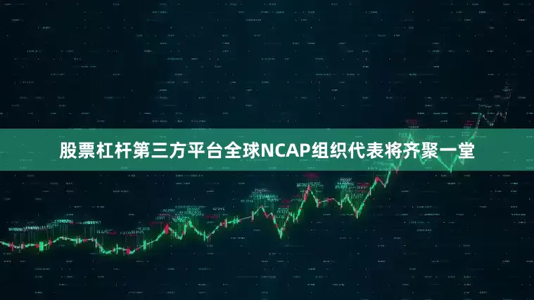 股票杠杆第三方平台全球NCAP组织代表将齐聚一堂